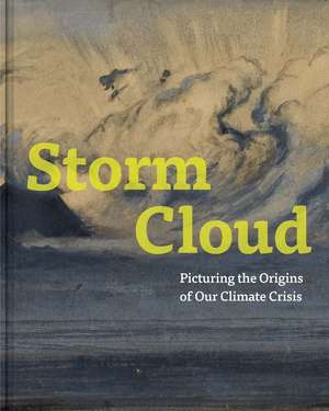 Storm Cloud: Picturing the Origins of Our Climate Crisis de Melinda McCurdy