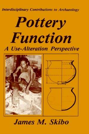 Pottery Function: A Use-Alteration Perspective de James M. Skibo