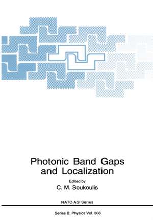 Photonic Band Gaps and Localization de C.M. Soukoulis