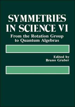 Symmetries in Science VI: From the Rotation Group to Quantum Algebras de Samuel H. Gruber