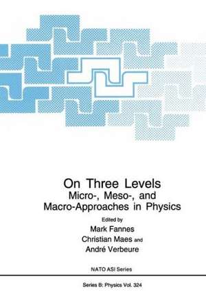 On Three Levels: Micro-, Meso-, and Macro-Approaches in Physics de M. Fannes