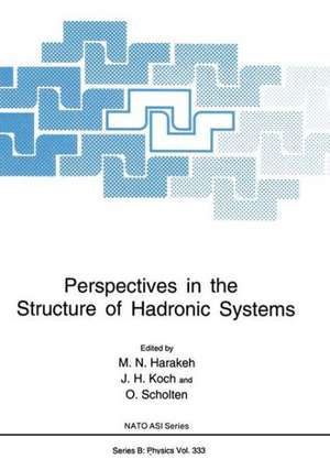 Perspectives in the Structure of Hadronic Systems de North Atlantic Treaty Organization