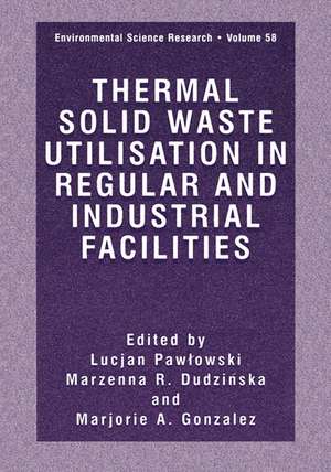 Thermal Solid Waste Utilisation in Regular and Industrial Facilities de Lucjan Pawlowski