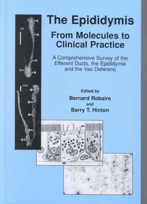 The Epididymis: From Molecules to Clinical Practice: A Comprehensive Survey of the Efferent Ducts, the Epididymis and the Vas Deferens de Bernard Robaire