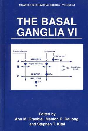 The Basal Ganglia VI de Ann M. Graybiel