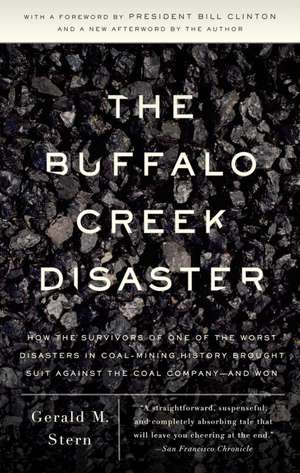 The Buffalo Creek Disaster: How the Survivors of One of the Worst Disasters in Coal-Mining History Brought Suit Against the Coal Company -- And Wo de Gerald M. Stern