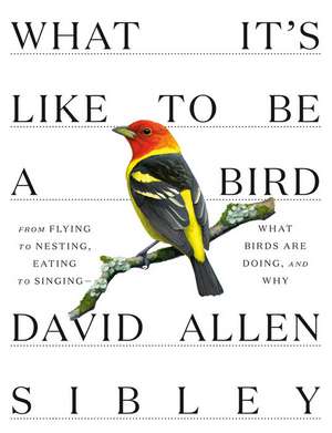 What It's Like to Be a Bird de David Allen Sibley