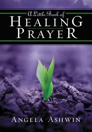 A Little Book of Healing Prayer de Angela Ashwin