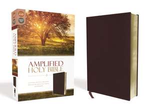 Amplified Holy Bible, Bonded Leather, Burgundy: Captures the Full Meaning Behind the Original Greek and Hebrew de Zondervan