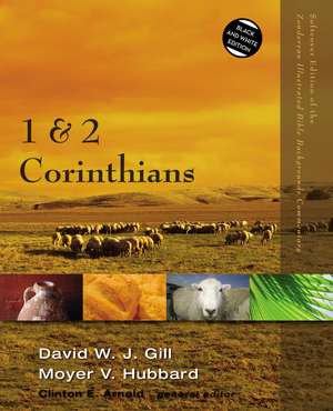 1 and 2 Corinthians de David W. J. Gill