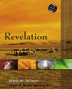 Revelation de Mark W. Wilson