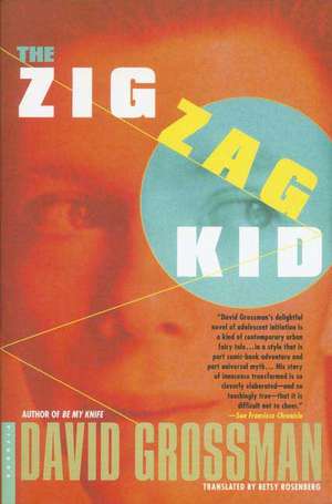 The Zig Zag Kid de David Grossman