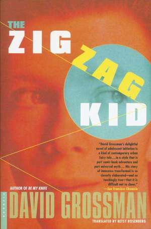 The Zigzag Kid de David Grossman