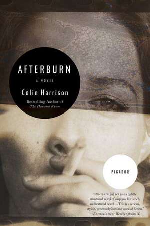 Afterburn de Colin Harrison