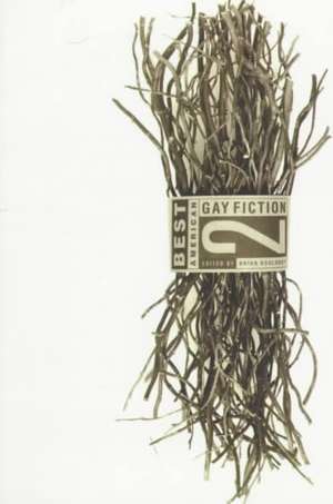 Best American Gay Fiction 2