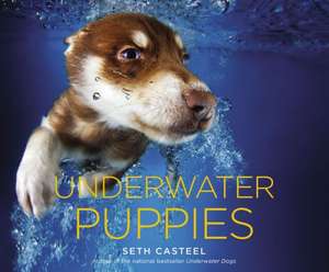 Underwater Puppies de Seth Casteel