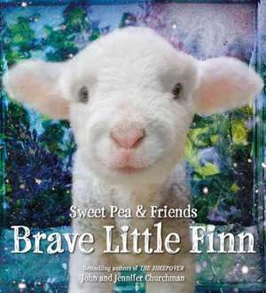 Brave Little Finn de Jennifer Churchman