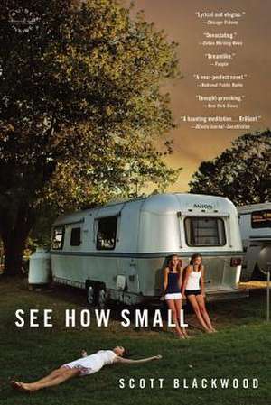 See How Small: A Novel de Scott Blackwood