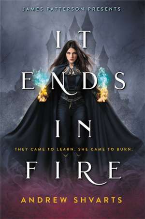 It Ends in Fire de Andrew Shvarts