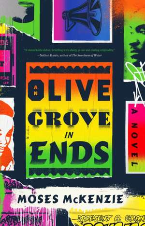 An Olive Grove in Ends de Moses McKenzie