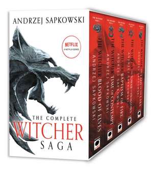 The Witcher Boxed Set: Blood of Elves, the Time of Contempt, Baptism of Fire, the Tower of Swallows, the Lady of the Lake de Andrzej Sapkowski