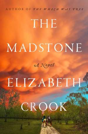 The Madstone de Elizabeth Crook