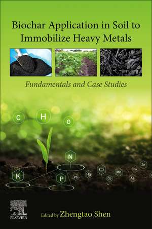 Biochar Application in Soil to Immobilize Heavy Metals: Fundamentals and Case Studies de Zhengtao Shen