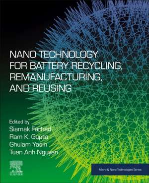 Nano Technology for Battery Recycling, Remanufacturing, and Reusing de Siamak Farhad