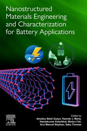 Nanostructured Materials Engineering and Characterization for Battery Applications de Amadou Belal Gueye