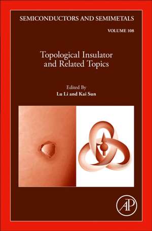 Topological Insulator and Related Topics de Lu Li