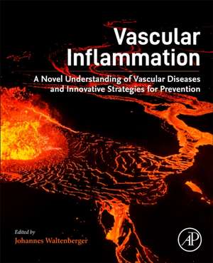 Vascular Inflammation: A Novel Understanding of Vascular Diseases and Innovative Strategies for Prevention de Johannes Waltenberger