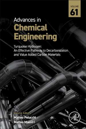 Turquoise Hydrogen: An Effective Pathway to Decarbonization and Value Added Carbon Materials de Matteo Pelucchi