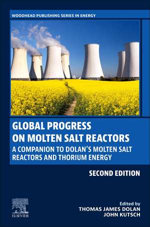 Global Progress on Molten Salt Reactors: A Companion to Dolan’s Molten Salt Reactors and Thorium Energy de Thomas James Dolan