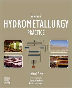 Hydrometallurgy: Practice de Michael Nicol