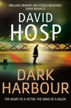 Dark Harbour de David Hosp