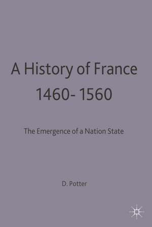 A History of France, 1460–1560: The Emergence of a Nation State de David Potter