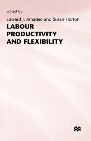 Labour Productivity and Flexibility de Edward J. Amadeo