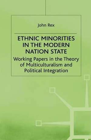 Ethnic Minorities in the Modern Nation State: Working Papers in the Theory of Multiculturalism and Political Integration de J. Rex