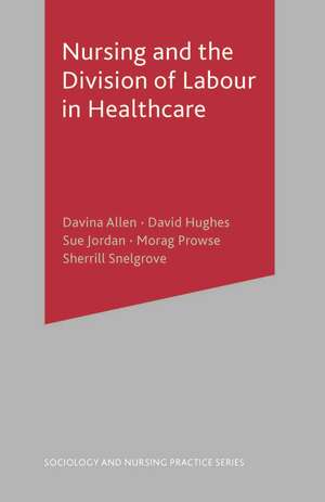 Nursing and the Division of Labour in Healthcare de Davina Allen