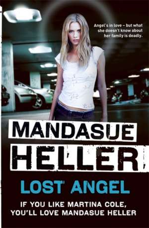 Lost Angel de Mandasue Heller