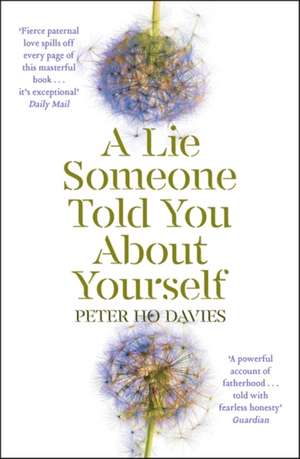 A Lie Someone Told You About Yourself de Peter Ho Davies