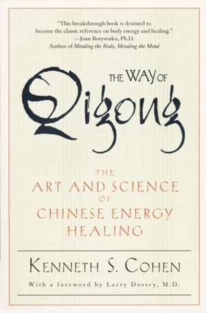 The Way of Qigong de Kenneth S. Cohen