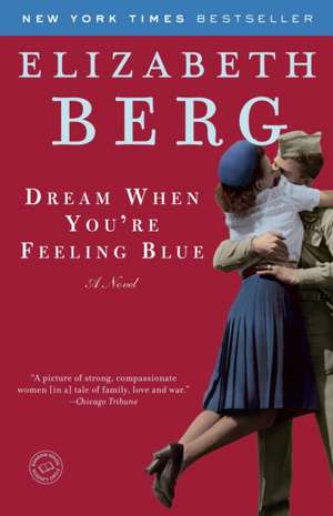 Dream When You're Feeling Blue de Elizabeth Berg