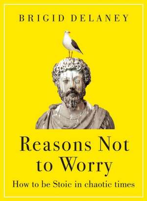 Reasons Not to Worry de Brigid Delaney