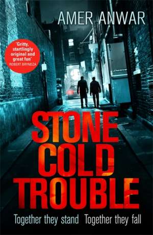 Stone Cold Trouble de Amer Anwar