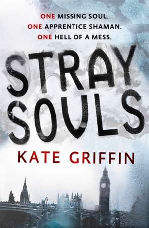 Griffin, K: Stray Souls de Kate Griffin