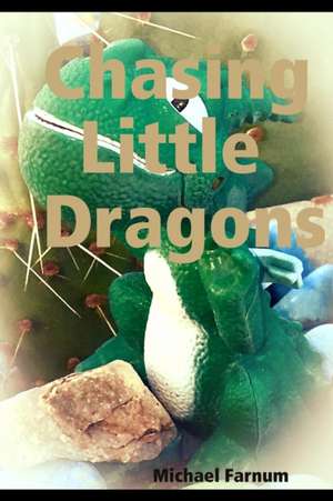 Chasing Little Dragons de Michael Farnum