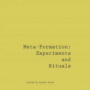 Meta-Formation de Rachel David