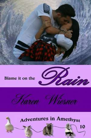 Blame it on the Rain, Adventures in Amethyst Series, Book 10 de Karen Wiesner