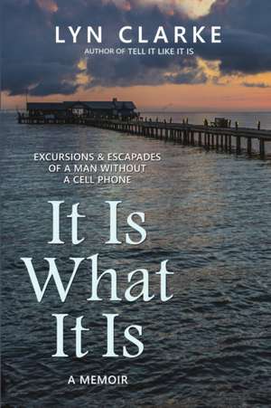 It Is What It Is de Lyn Clarke
